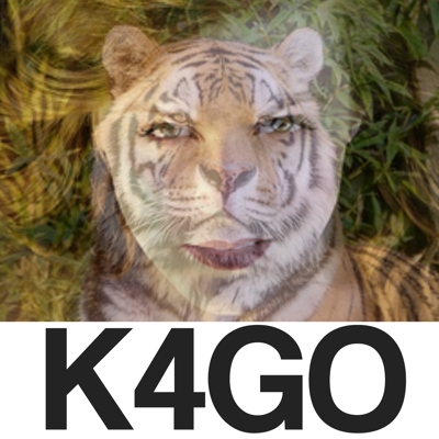 3 K4GO woman is a tiger album artwork